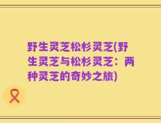 野生灵芝松杉灵芝(野生灵芝与松杉灵芝：两种灵芝的奇妙之旅)