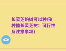 长灵芝的树可以种吗(种植长灵芝树：可行性及注意事项)