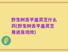 野生树舌平盖灵芝什么药(野生树舌平盖灵芝用途及功效)