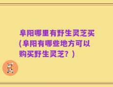 阜阳哪里有野生灵芝买(阜阳有哪些地方可以购买野生灵芝？)
