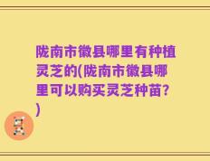 陇南市徽县哪里有种植灵芝的(陇南市徽县哪里可以购买灵芝种苗？)