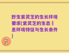 野生紫灵芝的生长环境要求(紫灵芝的生态棲息环境特征与生长条件)