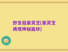 野生菇紫灵芝(紫灵芝再现神秘面纱)