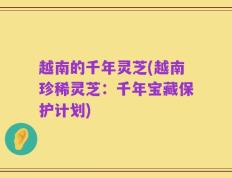越南的千年灵芝(越南珍稀灵芝：千年宝藏保护计划)