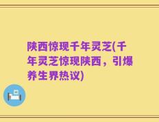 陕西惊现千年灵芝(千年灵芝惊现陕西，引爆养生界热议)