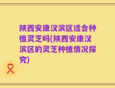 陕西安康汉滨区适合种植灵芝吗(陕西安康汉滨区的灵芝种植情况探究)