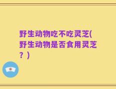 野生动物吃不吃灵芝(野生动物是否食用灵芝？)