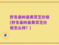 野生桑树桑黄灵芝价格(野生桑树桑黄灵芝价格怎么样？)