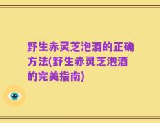 野生赤灵芝泡酒的正确方法(野生赤灵芝泡酒的完美指南)