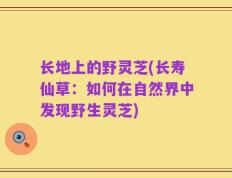 长地上的野灵芝(长寿仙草：如何在自然界中发现野生灵芝)