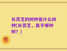 长灵芝的树种是什么树种(长灵芝，属于哪种树？)