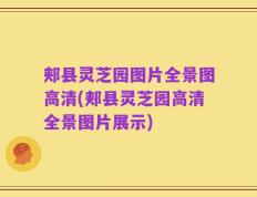 郏县灵芝园图片全景图高清(郏县灵芝园高清全景图片展示)