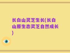 长白山灵芝生长(长白山原生态灵芝自然成长)