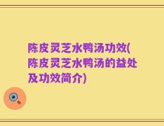 陈皮灵芝水鸭汤功效(陈皮灵芝水鸭汤的益处及功效简介)