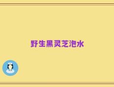 野生黑灵芝泡水