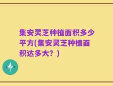 集安灵芝种植面积多少平方(集安灵芝种植面积达多大？)