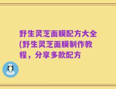 野生灵芝面膜配方大全(野生灵芝面膜制作教程，分享多款配方