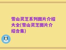 雪山灵芝系列图片介绍大全(雪山灵芝图片介绍合集)