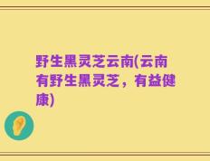 野生黑灵芝云南(云南有野生黑灵芝，有益健康)