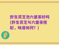 野生灵芝泡六堡茶好吗(野生灵芝与六堡茶搭配，味道如何？)
