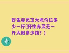 野生赤灵芝大概价位多少一斤(野生赤灵芝一斤大概多少钱？)
