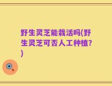 野生灵芝能栽活吗(野生灵芝可否人工种植？)
