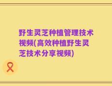 野生灵芝种植管理技术视频(高效种植野生灵芝技术分享视频)