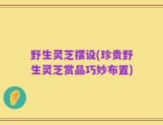 野生灵芝摆设(珍贵野生灵芝赏品巧妙布置)