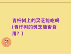 青杆树上的灵芝能吃吗(青杆树的灵芝能否食用？)