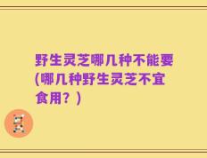 野生灵芝哪几种不能要(哪几种野生灵芝不宜食用？)
