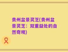 贵州盆景灵芝(贵州盆景灵芝：双重益处的自然奇观)