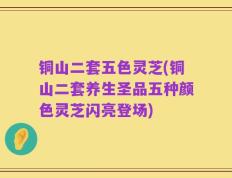 铜山二套五色灵芝(铜山二套养生圣品五种颜色灵芝闪亮登场)