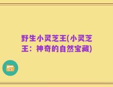 野生小灵芝王(小灵芝王：神奇的自然宝藏)