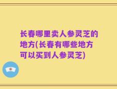 长春哪里卖人参灵芝的地方(长春有哪些地方可以买到人参灵芝)