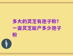 多大的灵芝有孢子粉？一亩灵芝能产多少孢子粉