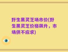 野生黑灵芝场市价(野生黑灵芝价格飙升，市场供不应求)
