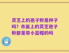 灵芝上的孢子粉是种子吗？市面上的灵芝孢子粉都是带小蓝帽的吗