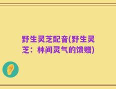 野生灵芝配音(野生灵芝：林间灵气的馈赠)