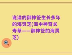 诡谲的御神签生长多年的海灵芝(海中神奇长寿草——御神签的海灵芝)