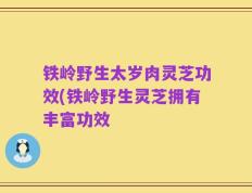 铁岭野生太岁肉灵芝功效(铁岭野生灵芝拥有丰富功效