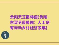 贵阳灵芝菌棒园(贵阳市灵芝菌棒园：人工培育带动乡村经济发展)