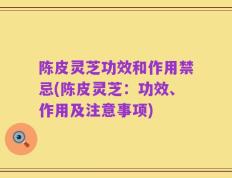 陈皮灵芝功效和作用禁忌(陈皮灵芝：功效、作用及注意事项)