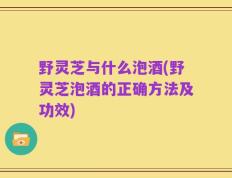 野灵芝与什么泡酒(野灵芝泡酒的正确方法及功效)