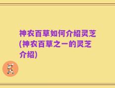 神农百草如何介绍灵芝(神农百草之一的灵芝介绍)