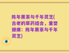 陈年黑茶与千年灵芝(古老的草药结合，重塑健康：陈年黑茶与千年灵芝)