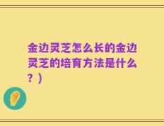 金边灵芝怎么长的金边灵芝的培育方法是什么？)