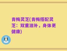 青梅灵芝(青梅搭配灵芝：双重滋补，身体更健康)