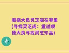 顺德大良灵芝阁在哪里(寻找灵芝阁：重返顺德大良寻找灵芝珍品)
