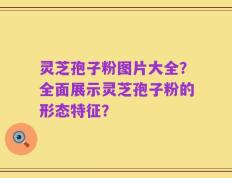 灵芝孢子粉图片大全？全面展示灵芝孢子粉的形态特征？