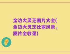 金边大灵芝图片大全(金边大灵芝壮丽风景，图片全收录)